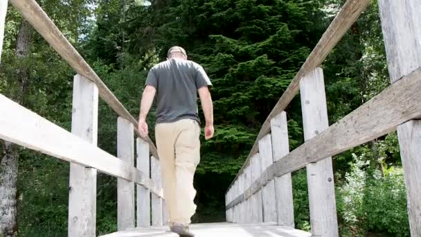 Hombre Muelle Madera Lago Caminando Hacia Bosque — Vídeos de Stock