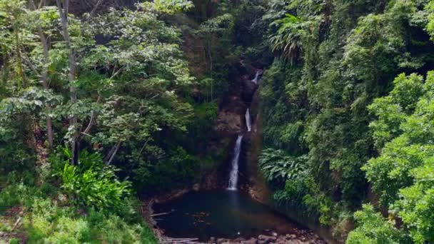 Съемка Беспилотника Удивительного Водопада Парой Сидящей Базе Тропических Лесах Карибского — стоковое видео
