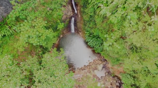 在加勒比海的格林纳达岛上 从鸟瞰无人机镜头拍摄的场景瀑布池 — 图库视频影像