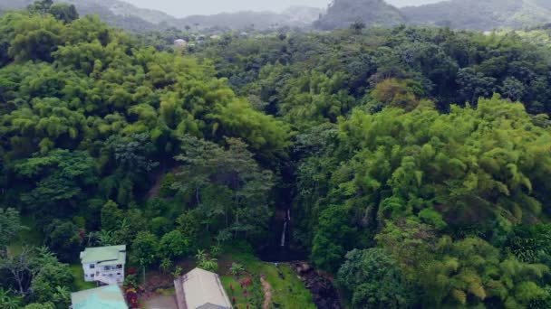 Эпические Воздушные Виды Водопада Самом Редком Карибском Острове Гренада Удивительным — стоковое видео