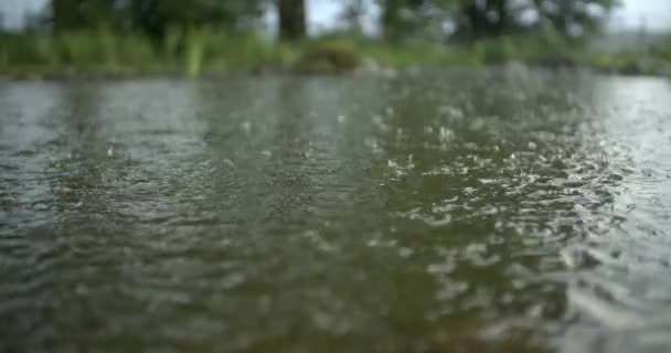 Cámara Lenta Gota Lluvia Clima Tormentoso — Vídeos de Stock