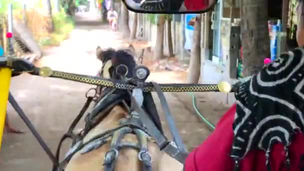 Riding Horse Carriage Gili Trawangan Bali Lombok Indonesia — Stock Video