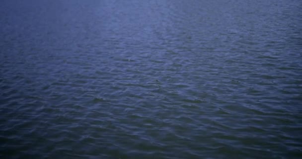 湖で穏やかな波 — ストック動画