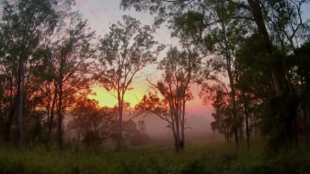 Timelapse Alba Dell Outback Drammatica Nebbiosa Mentre Nuvole Corrono Oltre — Video Stock