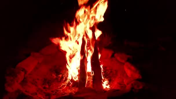 Teepee Style Campfire Slo Fps — Stock video