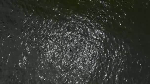 Спокойный Водный Фон Петля Вид Воздуха — стоковое видео