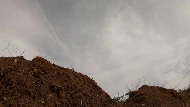 Dirt Cross Motorkář Skok Road Trail Nízký Výhled Pod Křížové — Stock video