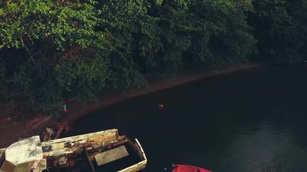 グレナダのスパイス島の難破船の隣にカリブ海の浅い水の中に立つビキニモデルの壮大な航空 — ストック動画