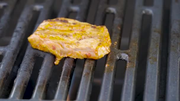 バーベキューグリルで新鮮な肉を準備する — ストック動画