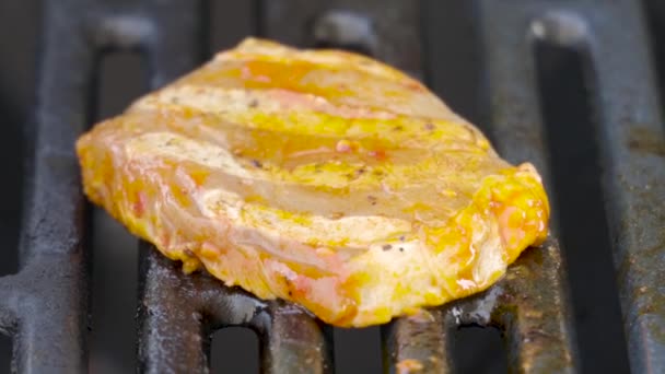 Preparación Carne Fresca Una Parrilla Barbacoa Gas — Vídeos de Stock