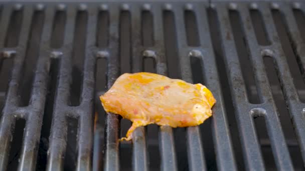 Preparación Carne Fresca Una Parrilla Barbacoa Gas — Vídeos de Stock