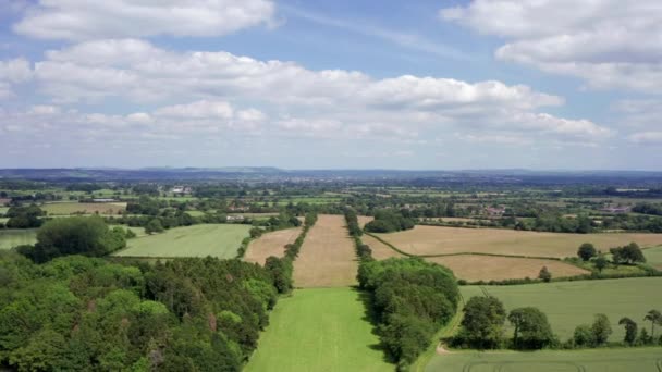 Aerial Flyover Träd Lined Avenue Fields Med Utsikt Över Vale — Stockvideo