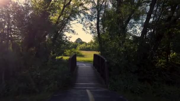 带着一座桥走过一条小溪 阳光在树后闪烁着光芒 — 图库视频影像