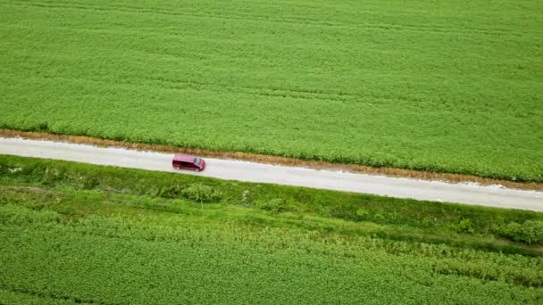 Aerial Landscape Sideway Shot Claret Van Driving Gravel Road Green — Vídeo de stock
