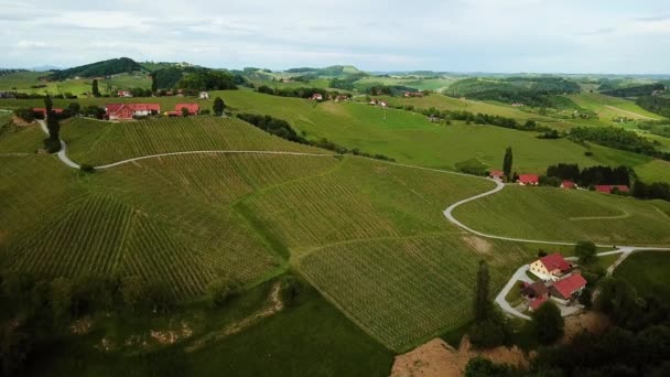 Paisaje Aéreo Plano Viñedos Colinas Slovenia Europe — Vídeos de Stock