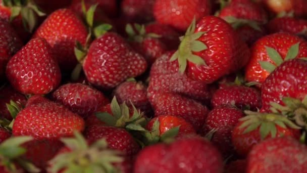 Vers Geoogste Aardbeien Die Een Stapel Aardbeien Vallen — Stockvideo