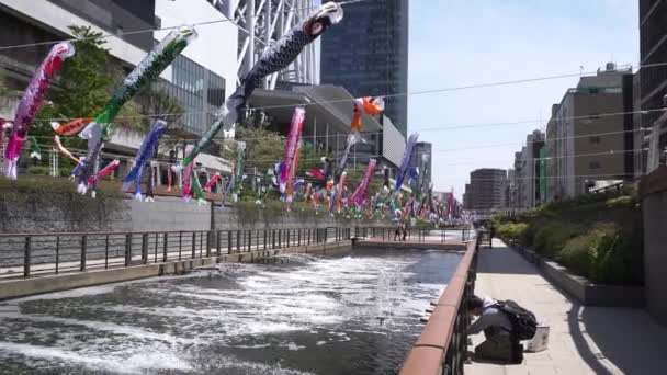 Красивий Рибний Декор Біля Вежі Скайтрі Токіо Японія — стокове відео