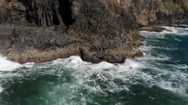 Drone Flies Cliff Seagulls Waves Crash Rocks — Stock Video