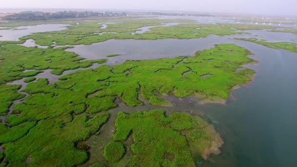 Pemandangan Udara Atas Keyhaven Lake Milford Sea Lymington Inggris — Stok Video