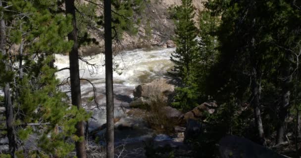 Szeroki Ujęcie Rzeki Provo Białą Wodą Pędzi Pobliżu Kamas Utah — Wideo stockowe