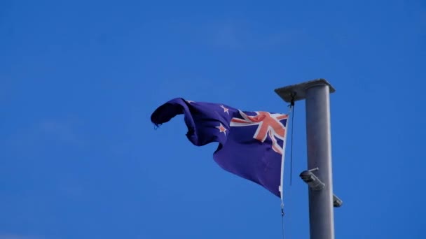 Zéland Zászló Fúj Szél Kék Mint Háttér — Stock videók