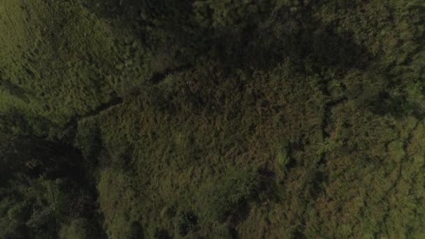 Cinematic Revealing Drone Shot Beautiful Hill Trees — Stock Video