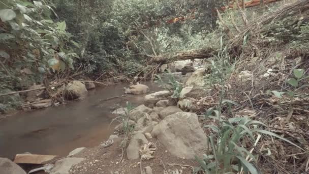 Dirty River Water Flowing Fallen Tree — Stock Video