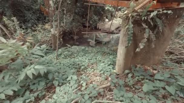 Постріл Ріки Вгору Оранжевої Труби — стокове відео