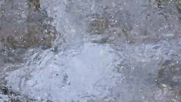 나카메구 사쿠라 표면에 — 비디오