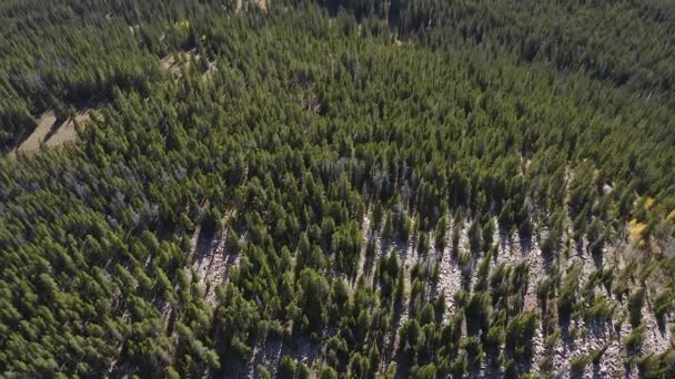 Colorado Dağlarda Uçan Insansız Hava Aracı — Stok video