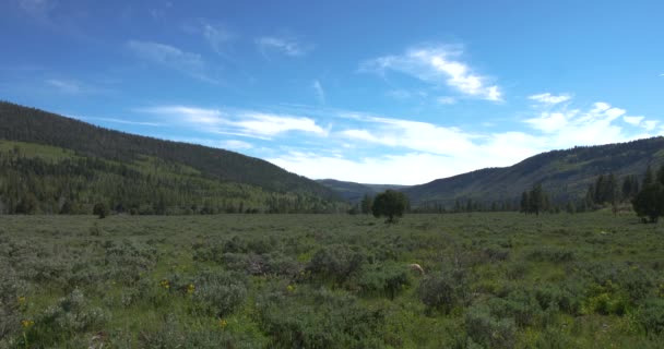 Wide Shot Valley Two Mountains Wasatch Forest Kamas Utah — Vídeo de stock