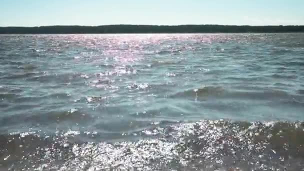 Curonian Spit Curonian Lagoon — Stock video