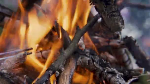 Close Shot Van Campfire Het Bereiden Van Sinaasappels Voor Grill — Stockvideo