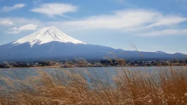 Naturalny Widok Fuji Wulkaniczna Góra Jeziorem Kawaguchi Pierwszym Planie — Wideo stockowe