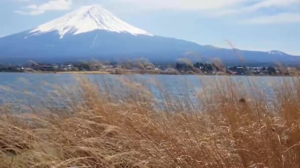 Naturalny Widok Fuji Wulkaniczna Góra Jeziorem Kawaguchi Pierwszym Planie — Wideo stockowe