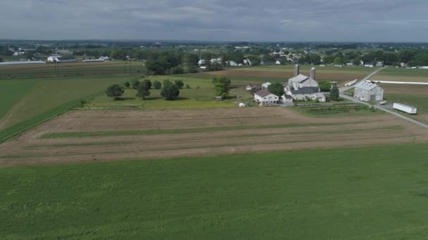 Vista Aérea Agricultor Amish Semeando Seu Campo Com Cavalos — Vídeo de Stock