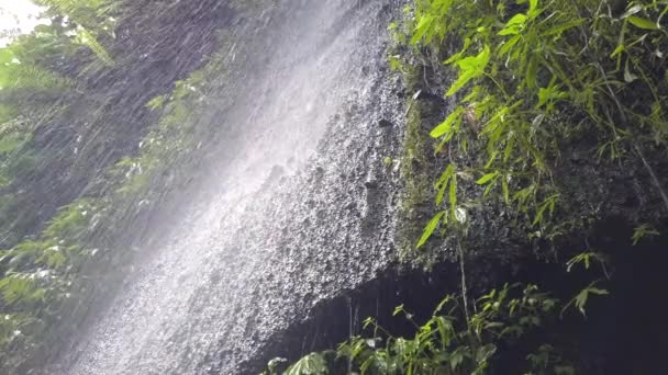 Při Pohledu Malou Džungli Voda Padá Ubud Bali Indonésie Krásná — Stock video