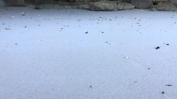 Ogromna Tropikalna Jaskinia Plaży Green Bowl Uluwatu Bali Indonezja — Wideo stockowe
