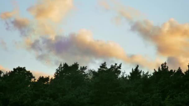 Time Lapse Del Cielo Noche Mañana Con Nubes Anaranjadas Amarillas — Vídeos de Stock