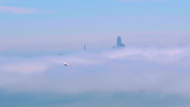 Cessna 150J Flying Golden Gate Bridge Hidden Fog Top San — Stock Video