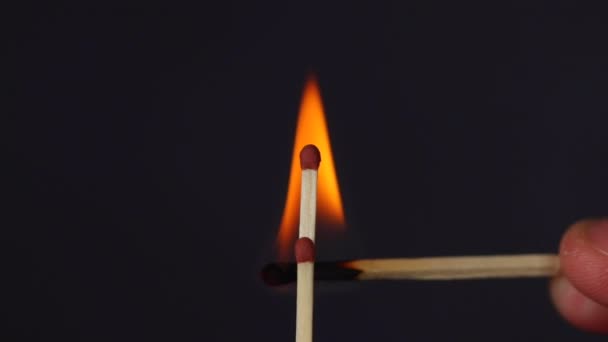 Slow Ignition Ignition Two Matches Close Macro Shot Captured Left — Stock Video