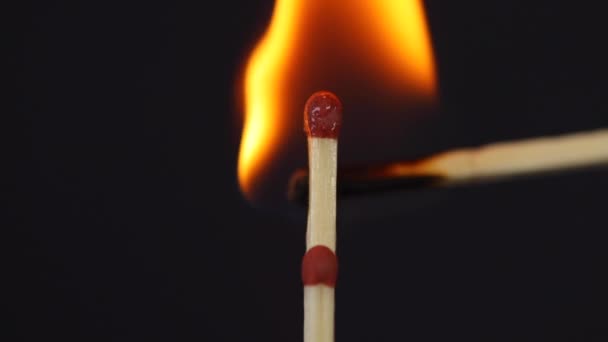 Slow Ignition Ignition Two Matches Close Macro Shot Captured Left — Stock Video