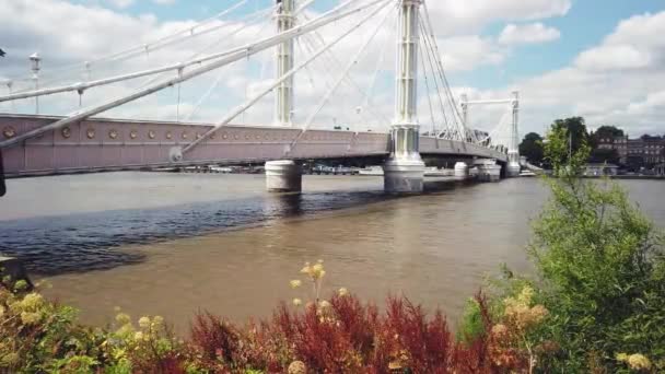 Albert Bridge Battersea London Taget Från Battersea Park — Stockvideo