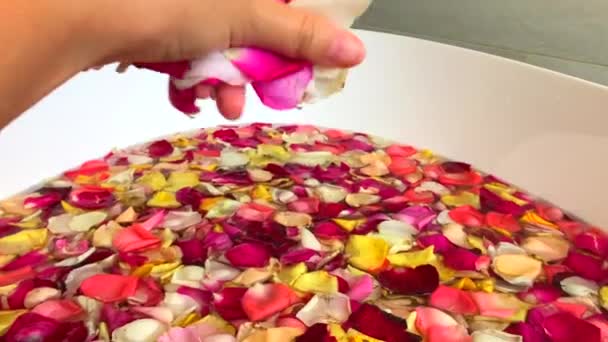 인도네시아 발리에 욕조에서 손으로 꽃잎을 떨어뜨린 — 비디오