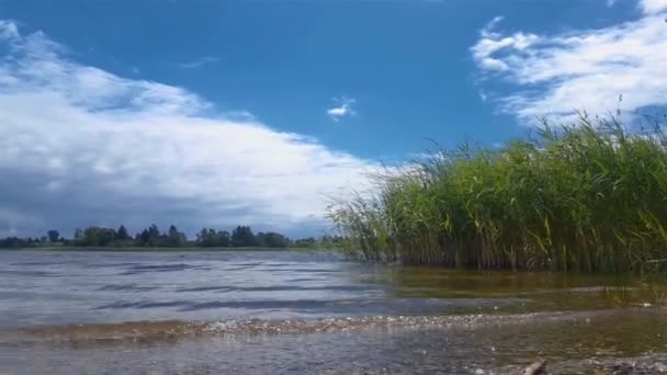 Friedliche Lake Water Clouseup Shot Sanfte Wellen Bewölkter Himmel Grüner — Stockvideo