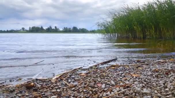 Friedliche Lake Water Clouseup Shot Sanfte Wellen Bewölkter Himmel Grüner — Stockvideo