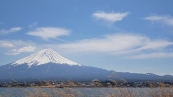 Natuurlijke Landschap Uitzicht Fuji Vulkanische Berg Met Het Meer Kawaguchi — Stockvideo