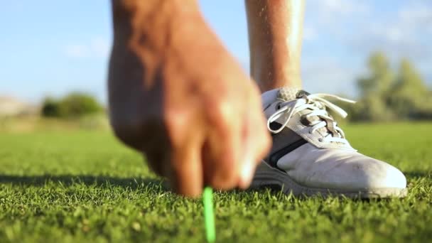 Golfista Colocando Una Pelota Una Camiseta Antes Prepararse Para Conducir — Vídeos de Stock