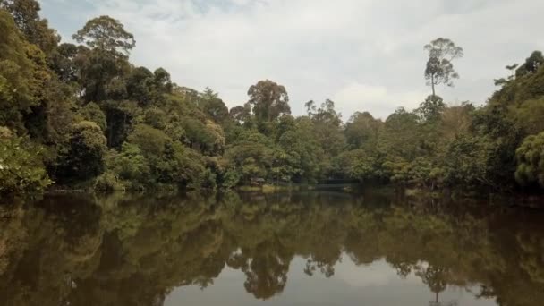 Blick Über Die Seen Und Regenwälder Von Borneo Malaysia — Stockvideo