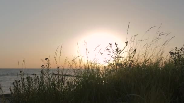 Olhando Através Grama Arbustos Enquanto Belo Pôr Sol Romântico Litoral — Vídeo de Stock